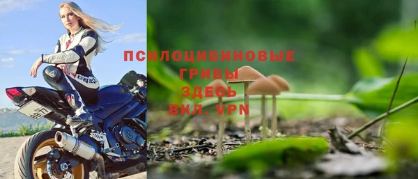 тгк Арсеньев