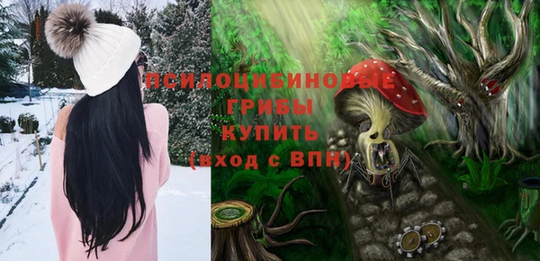прущий лед Аркадак
