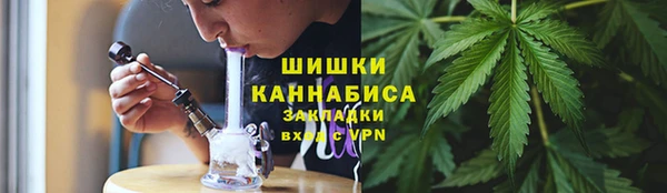 тгк Арсеньев