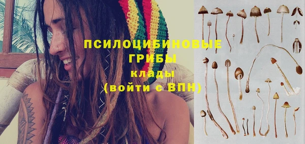 тгк Арсеньев