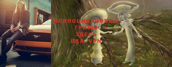 прущий лед Аркадак