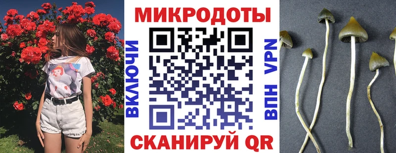 что такое наркотик  Ростов  Галлюциногенные грибы GOLDEN TEACHER 